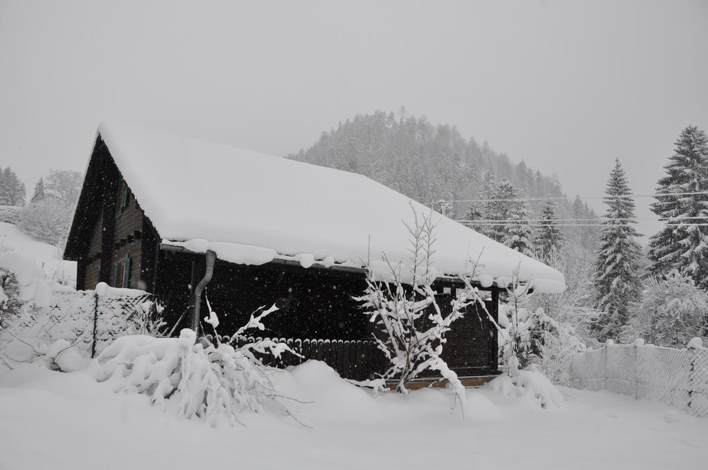 Holzhaus In Hinterstoder Villa Dış mekan fotoğraf