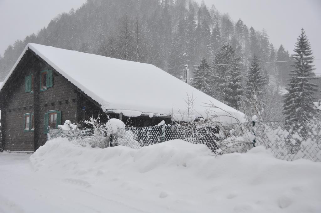 Holzhaus In Hinterstoder Villa Dış mekan fotoğraf